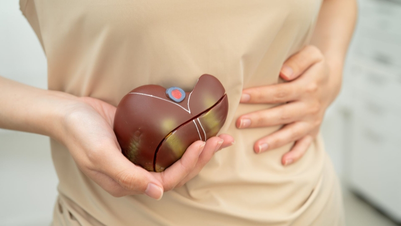 Mách bạn các nhóm thuốc hạ men gan, bảo vệ gan hiệu quả